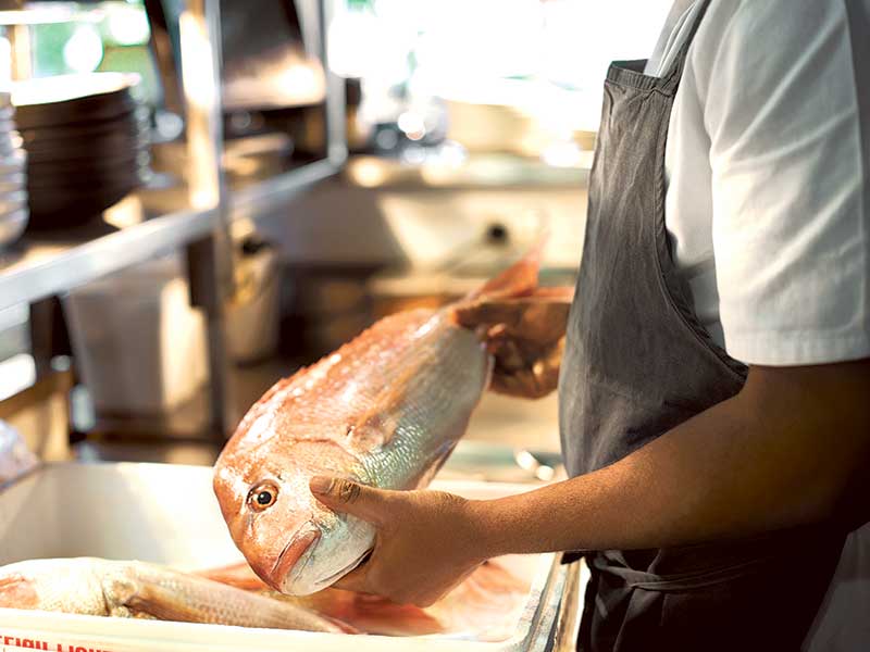 New Zealand Seafood Sustainability Awards