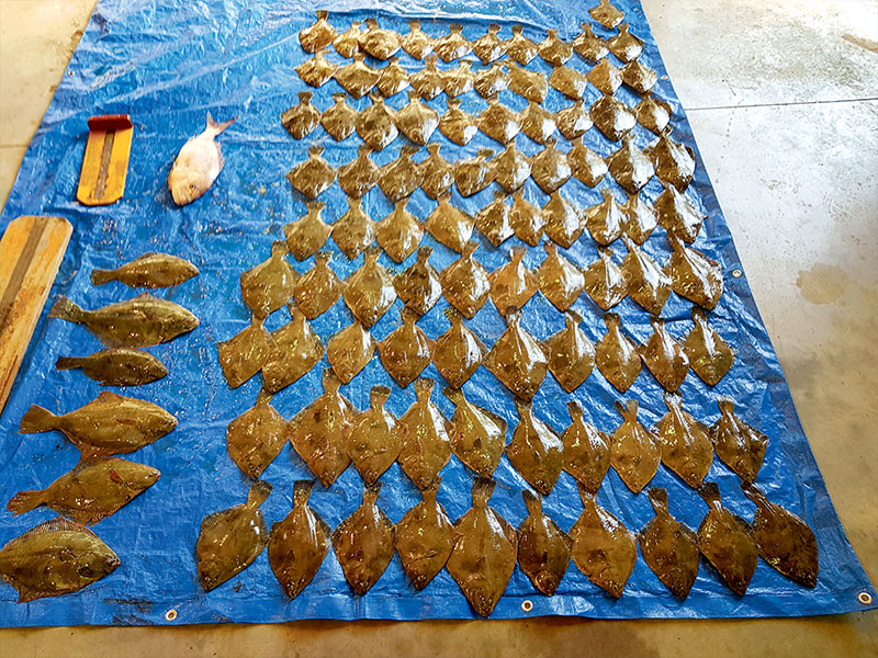 MPI confiscated seafood