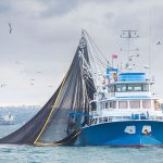 Rollout of cameras on fishing vessels to begin