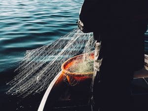 Combatting illegal fishing