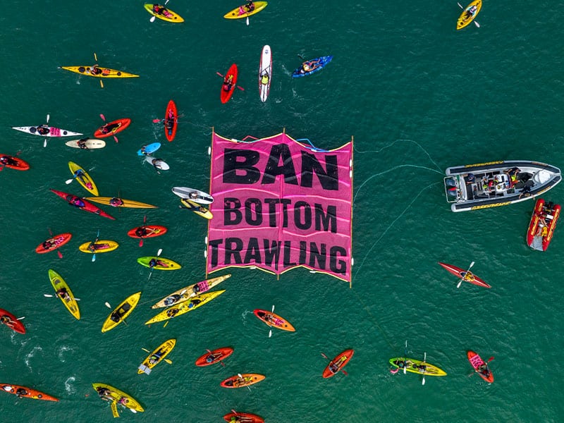 Hauraki Gulf bottom trawling protest
