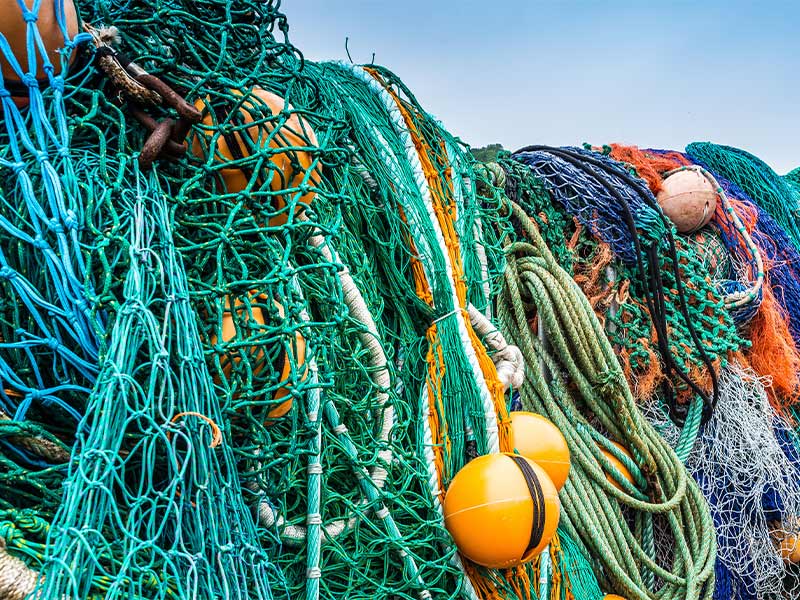 Nelson fishing company fined