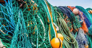 Nelson fishing company fined