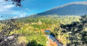 Tongariro River Trail